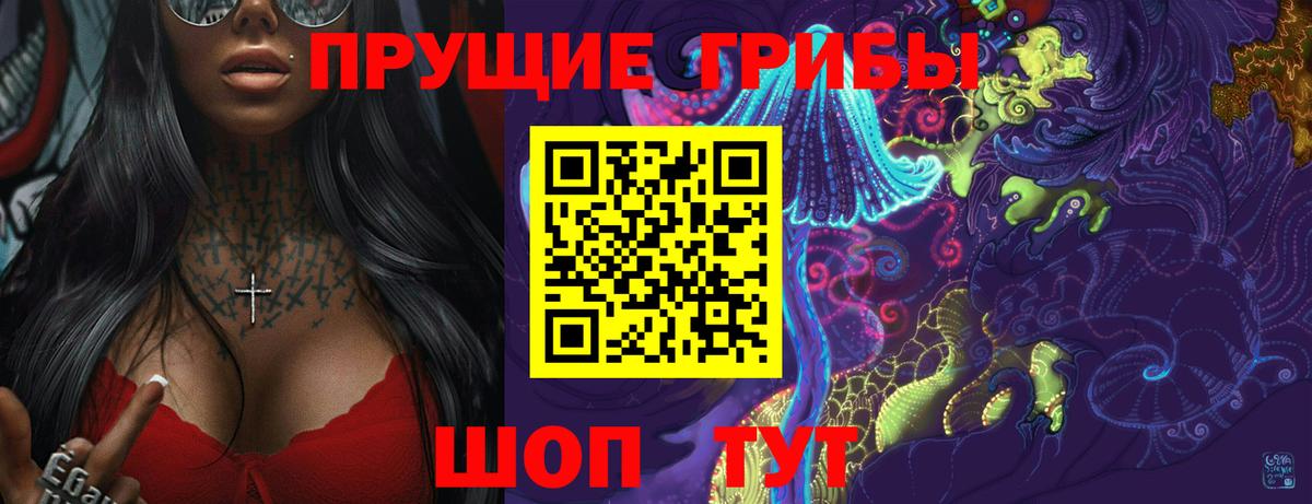 Псилоцибиновые грибы Psilocybe Сердобск